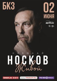 Николай Носков